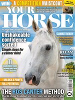 Your Horse